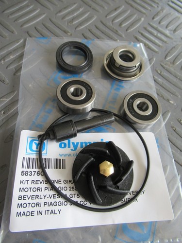 58376c kit revisione pompa - kit,