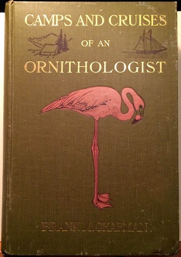 Ornitologia chapman 1908 - ornitologia,