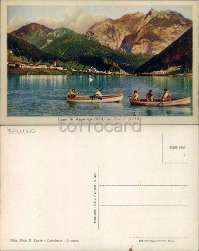 Offerta belluno - *offerta*,