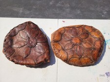 Panca Elefante Sgabelli Pelle