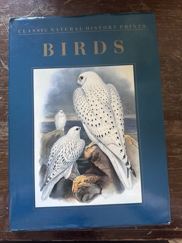 Classic natural history prints - natural,