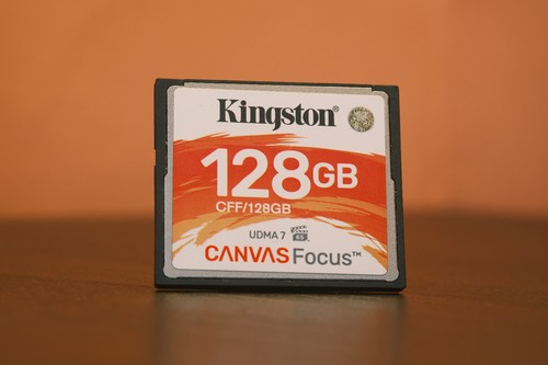 Kingston canvas focus - kingston,