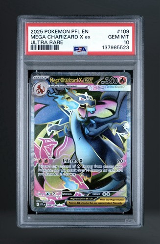 The pokémon company 2025 - the,