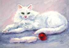 Gatto Bianco con Giocattolo