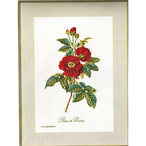 Thea gouverneur kit punto - thea,