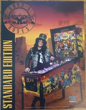 Volantino flipper GUNS N ROSES