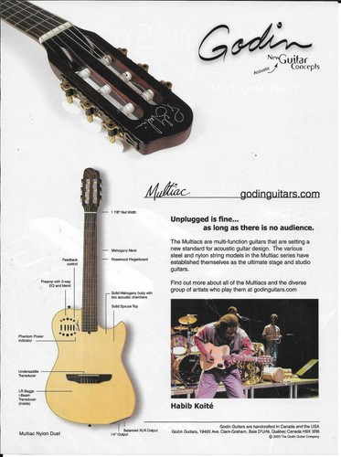 Godin guitars multiac - multiac, nylon
