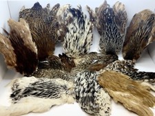 collo/mantelli di gallina