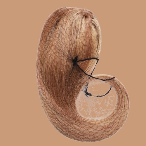 Dark golden blonde - golden,