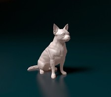 Chihuahua Pincher modellino