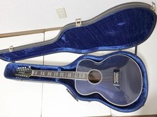 Takamine Chitarra Acustica 12 Corde, PT110-12, Elettrica/Acustica, dal Giappone