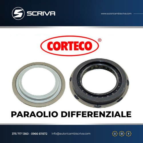 Paraolio differenziale fiat - differenziale,