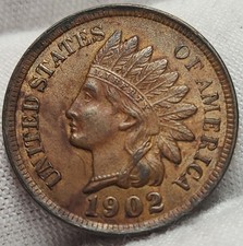 1902 testa di indiano un