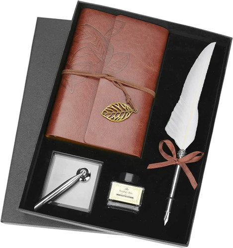 Set penne con penna oca - di,
