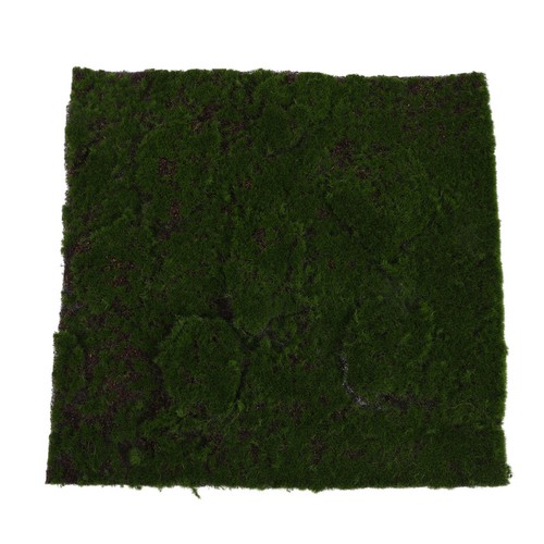 Tappeto muschio verde - ,