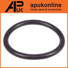 Albero di sollevamento O Ring