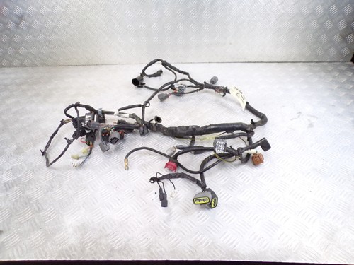 Kawasaki zx10r zx10 fascio - zx10r, zx10-r