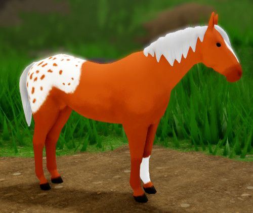 Wild horse islands - wild,
