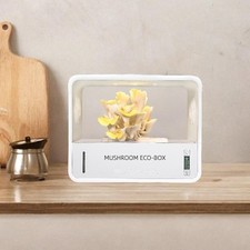 Tenda per coltivazione di