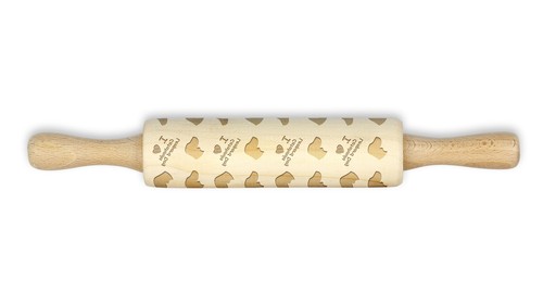Catahoula leopard dog - dog, rullo