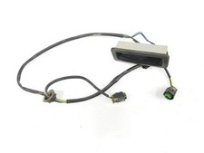LR079909 maniglia esterna