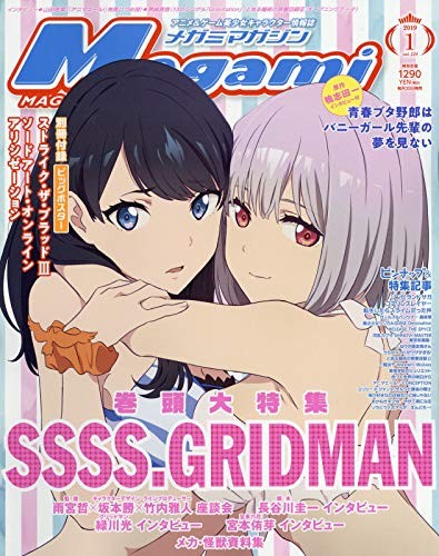 Megami magazine jan 2019 - megami,