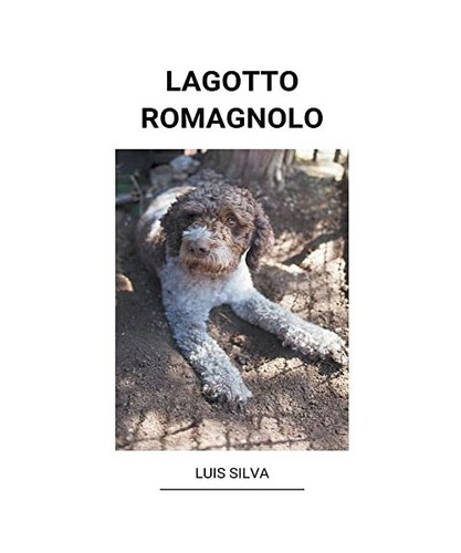 Lagotto romagnolo silva luis - lagotto, romagnolo,