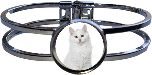Siberian cat pet high quality - cat,