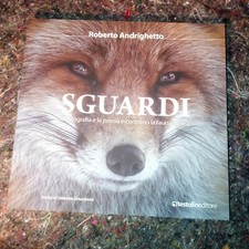 Sguardi Roberto Andrighetto