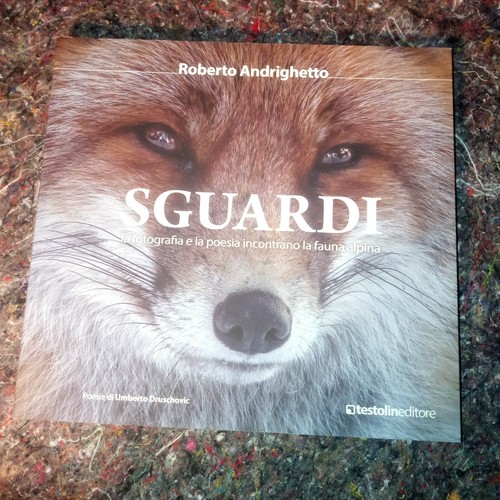 Sguardi roberto andrighetto - sguardi,