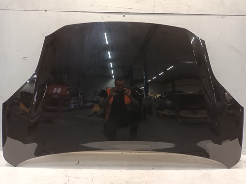 Ford puma coperchio - puma, motore