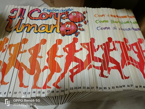 Corpo umano com come - il, com'è/
