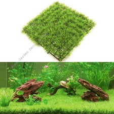 Acquario Plastica Pesciera