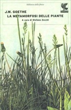 LIBRO LA METAMORFOSI DELLE