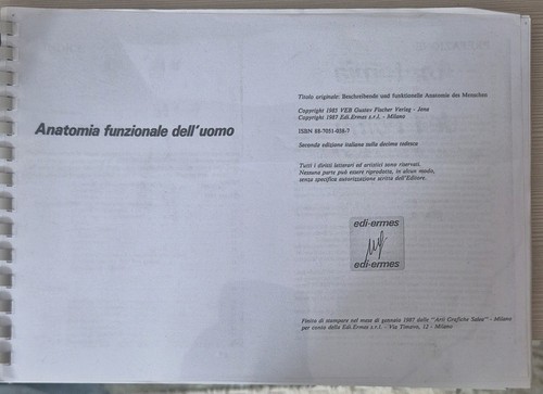 Edi ermes anatomia - anatomia, funzionale