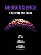 Neuroscience: Exploring the