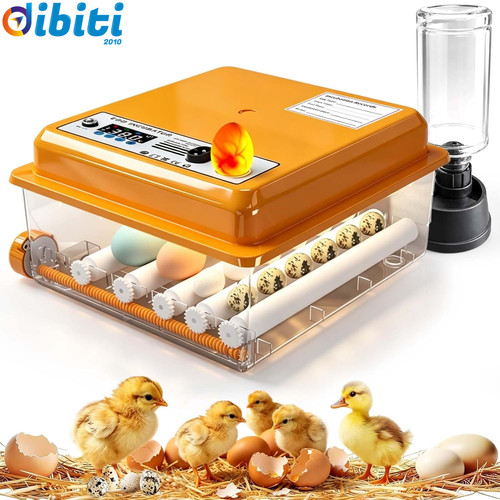 Incubatrice per uova - incubatrice,