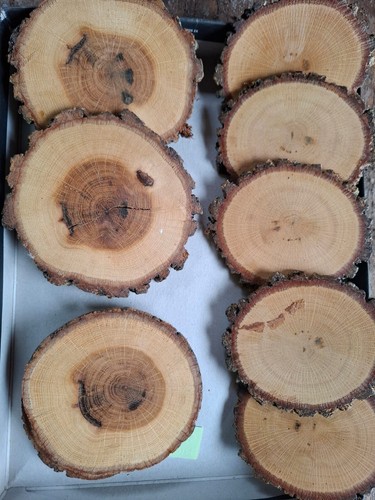 Sottobicchieri legno - in,