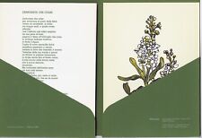  TABUSSO FRANCESC  " I Fiori -