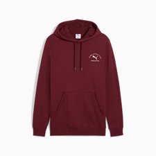 Puma Class Graphic Hoodie FL