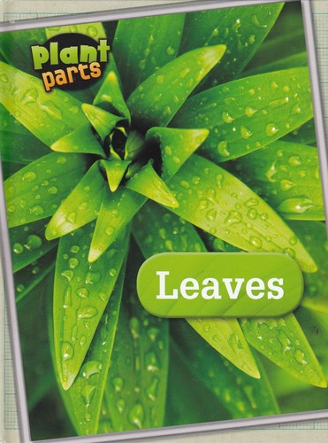 Leaves - , parts)
