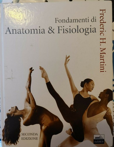 Fondamentu anatomia e - di,