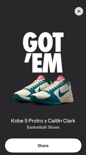 Nike kobe protro - kobe, caitlin