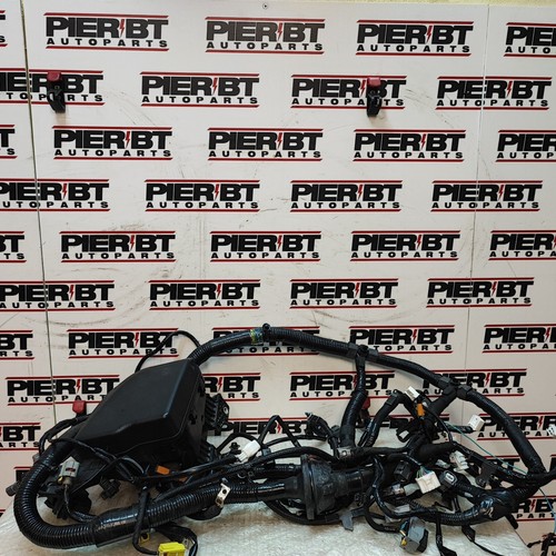 Cablaggio motore fusibili - motore,