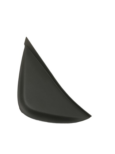 Plastica fine cruscotto lato - fine,