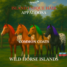 🐎 Isole Cavalli Selvaggi