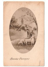 1933 pastore pecore - al, pascolo