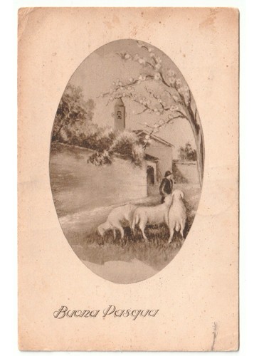 1933 pastore pecore pascolo - pastore,