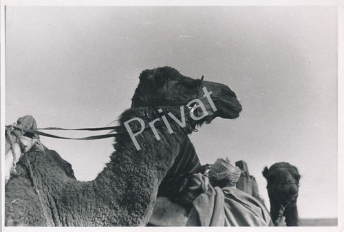 Foto seconda guerra - , mondiale