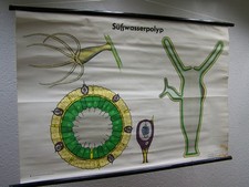 Vecchia Lavagna Mappa Da